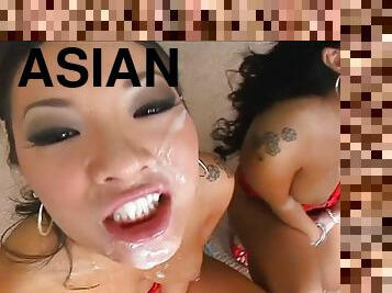 Asian porn sweetheart gets a monster cock for a hardcore blowjob