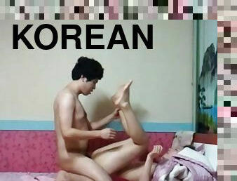 Korean Intercourse Videos - Amateur Porn