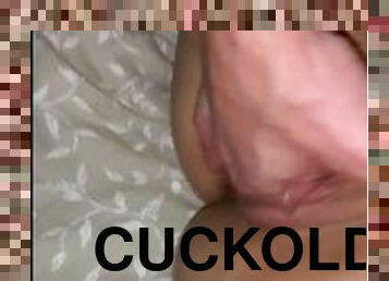 cuckold husband share wife with stranger to watching her sucking his huge cock