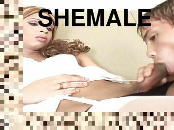 Hot Shemale Compilation Video Means Lots of Cock and Tits
