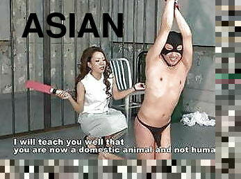 asiatisk, japans, bdsm, slave, elskerinde, dominans, femidom, smæk