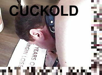 cuckold must pay and bag for slaps
