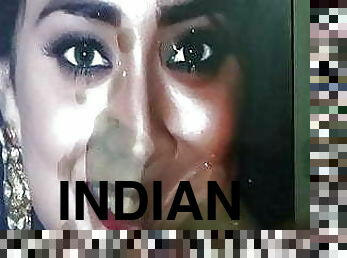 Shreya Saran South Indian Bollywood Actress Hot Cum Tribute
