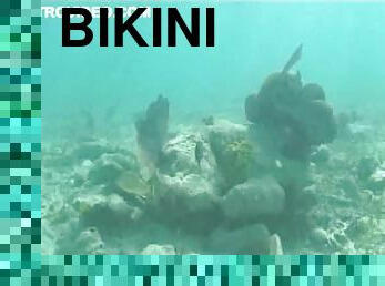 Breathtaking Brunette Supermodel Katie Cleary Scuba Diving In Bikini